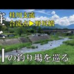 桂川支流　笹子川の釣り場を巡る　合流点▶野尻橋　2024年6月1日の川見