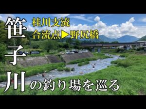 桂川支流 笹子川の釣り場を巡る 合流点▶野尻橋 2024年6月1日の川見