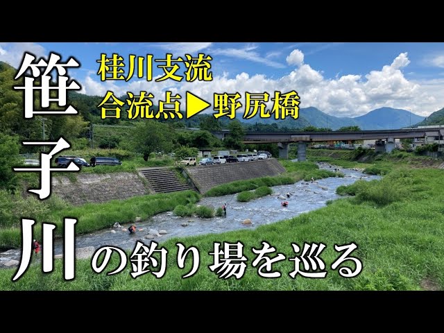 桂川支流　笹子川の釣り場を巡る　合流点▶野尻橋　2024年6月1日の川見