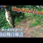 2024年8月  川田谷飛行場沼(ホンダエアポート沼) リベンジ 埼玉県桶川市 川田谷飛行場沼　おかっぱりポイントを探す旅