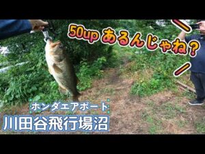 2024年8月  川田谷飛行場沼(ホンダエアポート沼) リベンジ 埼玉県桶川市 川田谷飛行場沼　おかっぱりポイントを探す旅