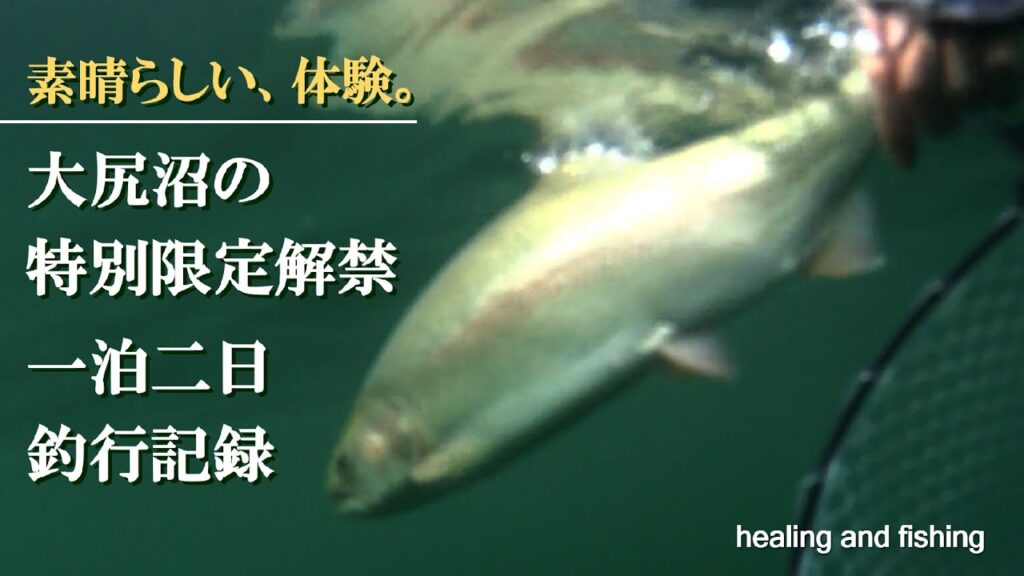 大尻沼-特別限定解禁2025 & 丸沼、一泊二日フライフイッシング釣行。
