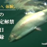 大尻沼-特別限定解禁2025 & 丸沼、一泊二日フライフイッシング釣行。