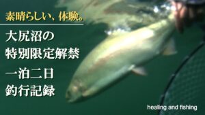 大尻沼-特別限定解禁2025 & 丸沼、一泊二日フライフイッシング釣行。