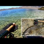 【2025年５月】絶景の中禅寺湖でフライフィッシング　レイクトラウト釣ってきたよ