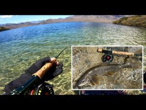 【2025年5月】絶景の中禅寺湖でフライフィッシング レイクトラウト釣ってきたよ