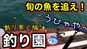 【切り抜き】旬の魚を追って釣り園へ!嫌われ者だけど…実はウマい魚だった!?茨城釣行【釣り歩き旅2025】