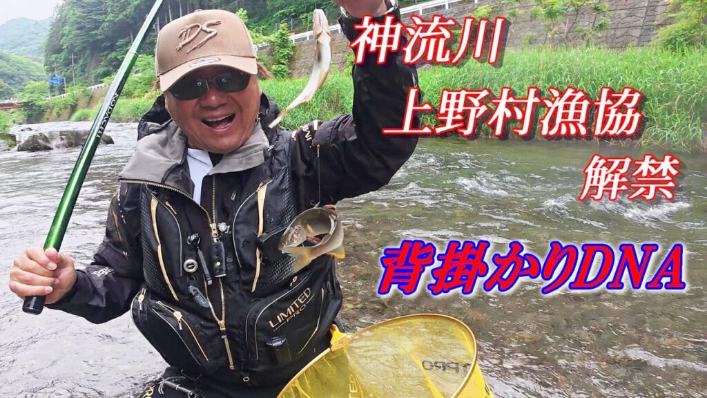 【2025鮎釣り】神流川 上野村漁協 鮎釣り解禁で話題の背掛かりDNA鮎を釣る❗