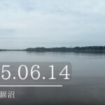 2025.06.14曇り×朝×涸沼