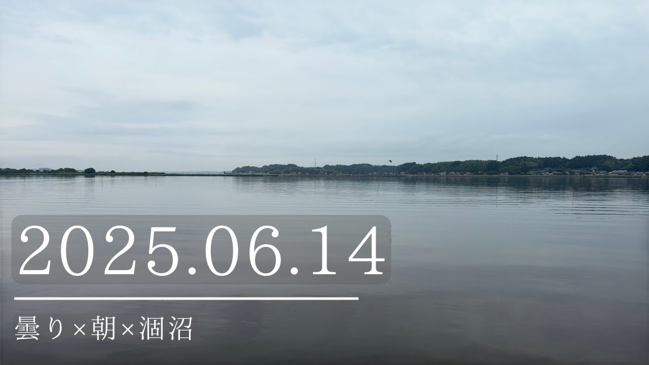 2025.06.14曇り×朝×涸沼