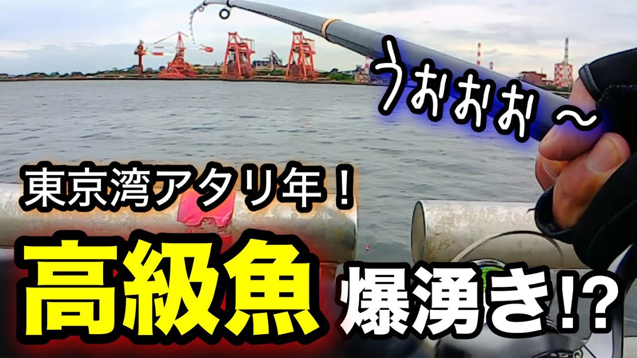 【切り抜き】ついに高級食材が爆湧き!?東京湾海釣りシーズン序盤の時期に釣り旅をしてみたら…!2025.5