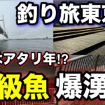 春の東京湾で高級食材が異常発生！？海釣りシーズン序盤の時期に東京湾の釣り場で釣り旅をしてみたら…！2025.5