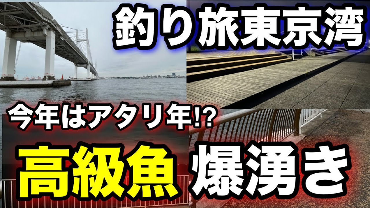 春の東京湾で高級食材が異常発生!?海釣りシーズン序盤の時期に東京湾の釣り場で釣り旅をしてみたら…!2025.5