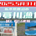 2025.5月31日.栃木県鹿沼市小倉川漁協試し釣り速報〜　#釣り #鮎釣り #サンテック #サンライン #小倉川漁協#vita