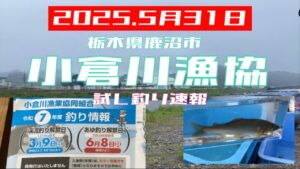 2025.5月31日.栃木県鹿沼市小倉川漁協試し釣り速報〜　#釣り #鮎釣り #サンテック #サンライン #小倉川漁協#vita