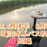 2025.5月後半から6月【印旛沼水系バス釣り】徐々にノンキーが増えてきて