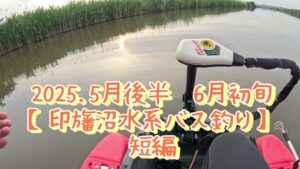 2025.5月後半から6月【印旛沼水系バス釣り】徐々にノンキーが増えてきて