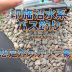 2025.6月【印旛沼水系バス釣り】ゲリラ豪雨の後に