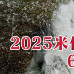 米代川で鮎釣り 2025.6.13.扇田堰堤越えと水中映像