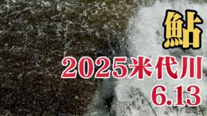 米代川で鮎釣り 2025.6.13.扇田堰堤越えと水中映像