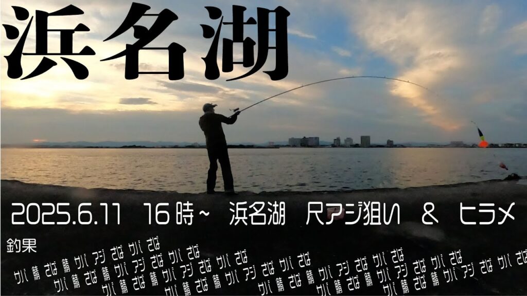 浜名湖　20250611　16時~19時30分位　網干場　尺アジ狙い&泳がせでヒラメ　結果は違いますが('ω')ノ