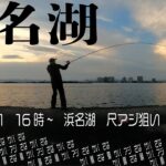浜名湖　20250611　16時~19時30分位　網干場　尺アジ狙い&泳がせでヒラメ　結果は違いますが('ω')ノ