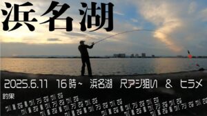 浜名湖 20250611 16時~19時30分位 網干場 尺アジ狙い&泳がせでヒラメ 結果は違いますが('ω')ノ