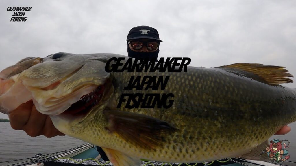 【多々良沼】バス釣り 2025年4月下旬 BROFANGST アダルトバニー