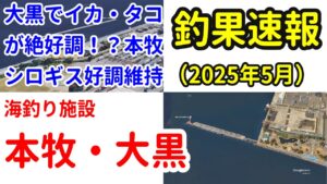 【本牧海釣り施設】【大黒海釣り施設】釣果速報(2025年5月)