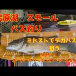 2025年5月31日　桧原湖　スモールマウスバス釣り　レイドの新商品　スーパーフィッシュローラー3.5インチはエサですね