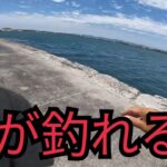 浜名湖へ晩のおかずを釣りに行く2025年6月