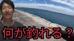 浜名湖へ晩のおかずを釣りに行く2025年6月