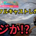 遠州灘サーフへダイソージグぶら下げて釣りに行ったら…2025年6月上旬