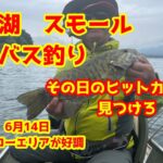 2025年6月14日　桧原湖　スモールマウスバス釣り　シャローエリアが好調な時期が来ましたよ