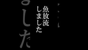 2025年6月9日 3回目野反湖魚放流情報 #shorts