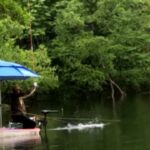 [巨べら釣り]2025年6月初旬桧原湖いかり潟巨べら釣り回想、Tさん友情出演#へらぶな釣り #巨べら釣り #桧原湖