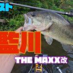 【バス釣り】2年ぶりの将監川6月、これがハマるとは驚愕！