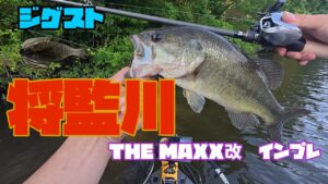 【バス釣り】2年ぶりの将監川6月、これがハマるとは驚愕！