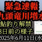 緊急速報【九頭竜川増水】解禁3日前の様子