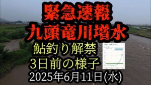 緊急速報【九頭竜川増水】解禁3日前の様子