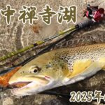 【中禅寺湖】今季3回目の中禅寺湖釣行！セミパターンが見事にはまってブラウントラウトが爆釣(当社比)したお話。　#トップウォーター #中禅寺湖 #蝉ブラ #アンバサダー1000 #ズームサファリ