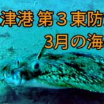 直江津港第3東防波堤 管理釣り場 ハッピーフィッシング　3月の海の中　内側 300ⅿ付近　新潟 釣り