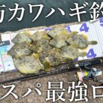 【堤防カワハギ釣りを始めたい方へ！】悶絶アタリも取りやすい3000円のカワハギロッドが激安でスゴイ