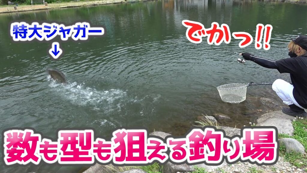 新たな管理釣り場を開拓！308CLUBで爆釣！【エリアトラウト】／HartDesign TV(ハートデザインTV) 【Vol.360】