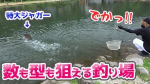 新たな管理釣り場を開拓！308CLUBで爆釣！【エリアトラウト】／HartDesign TV(ハートデザインTV) 【Vol.360】