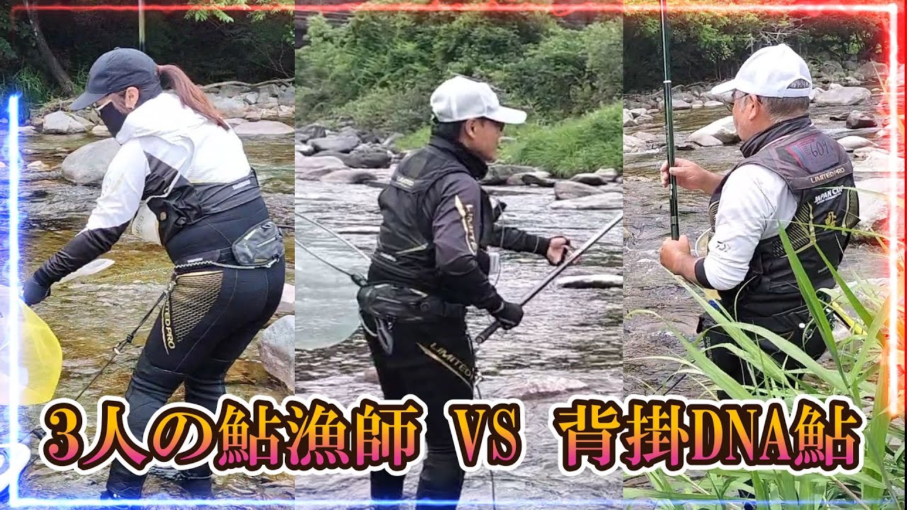 鮎釣り 3人の鮎漁師が穴場河川で背掛DNA鮎を釣る
