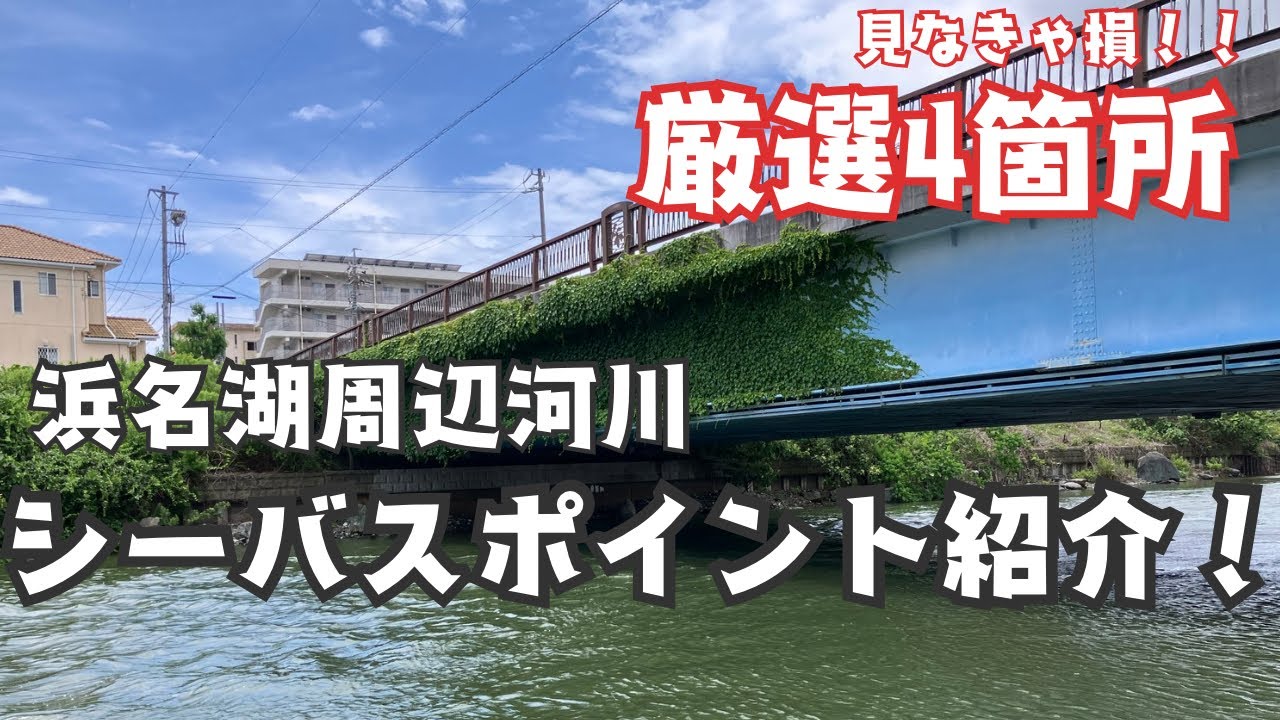 見なきゃ損！！浜名湖シーバスポイント4選👌浜名湖周辺河川でのシーバスポイントを紹介！
