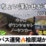 【桧原湖バス釣り】40UPがボコボコ釣れる！桧原湖行くなら今がチャンス😉