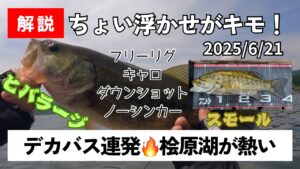 【桧原湖バス釣り】40UPがボコボコ釣れる！桧原湖行くなら今がチャンス😉