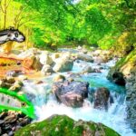 4時間で40匹以上釣れた渓流ルアー３種